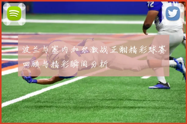 波兰与塞内加尔激战正酣精彩球赛回顾与精彩瞬间分析