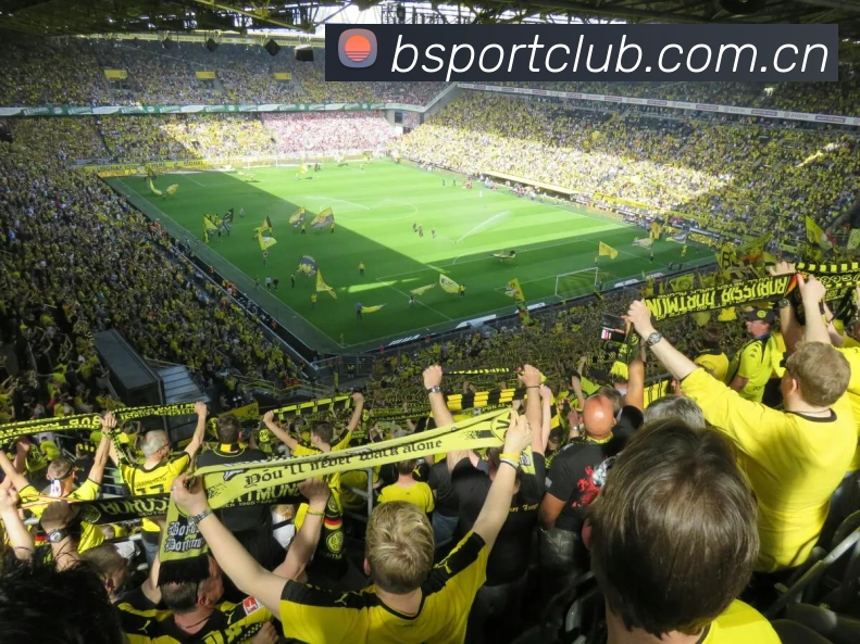 BsportsAPP 封面图